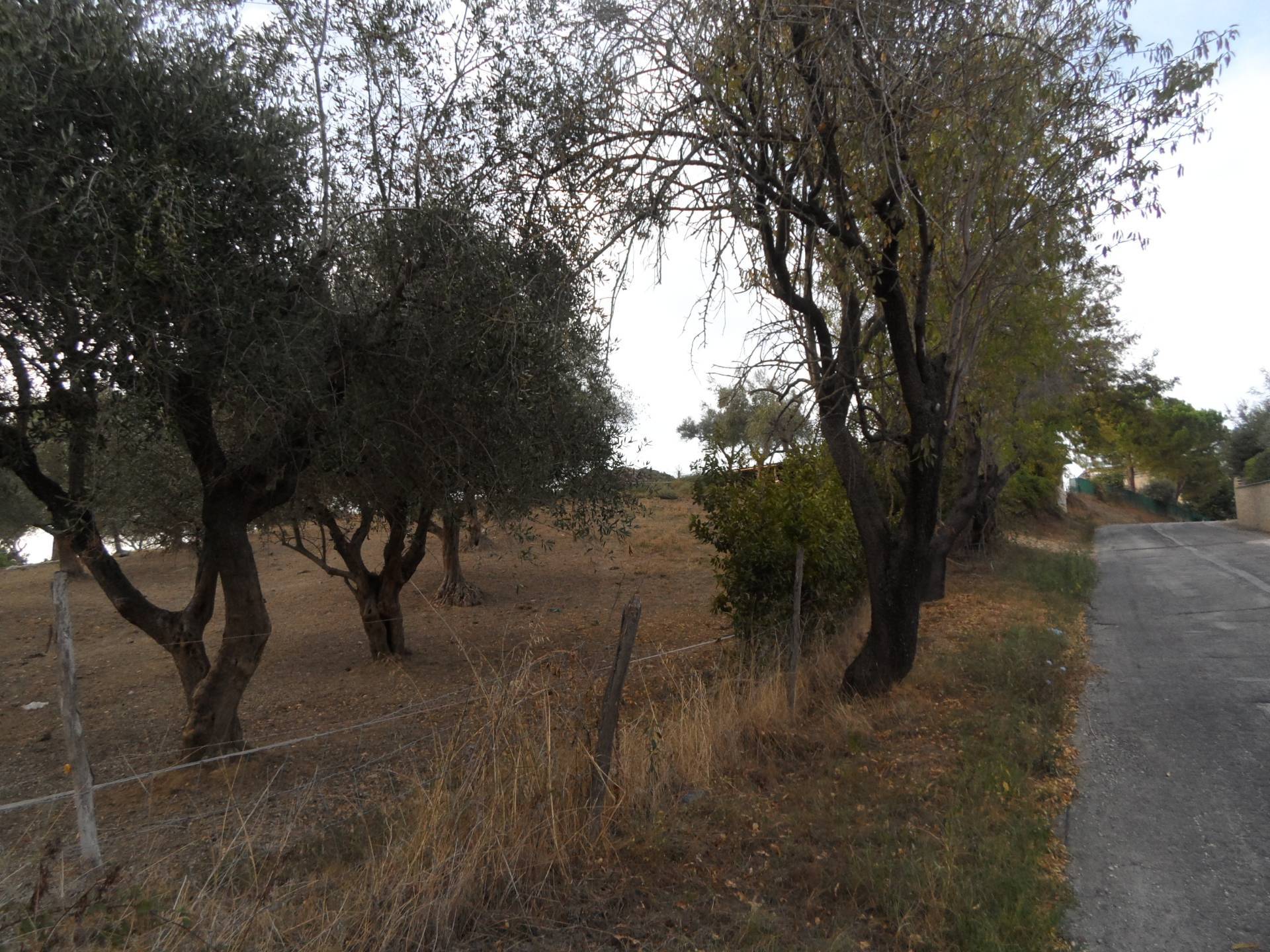 Terreno Agricolo in vendita a Castorano, San Silvestro