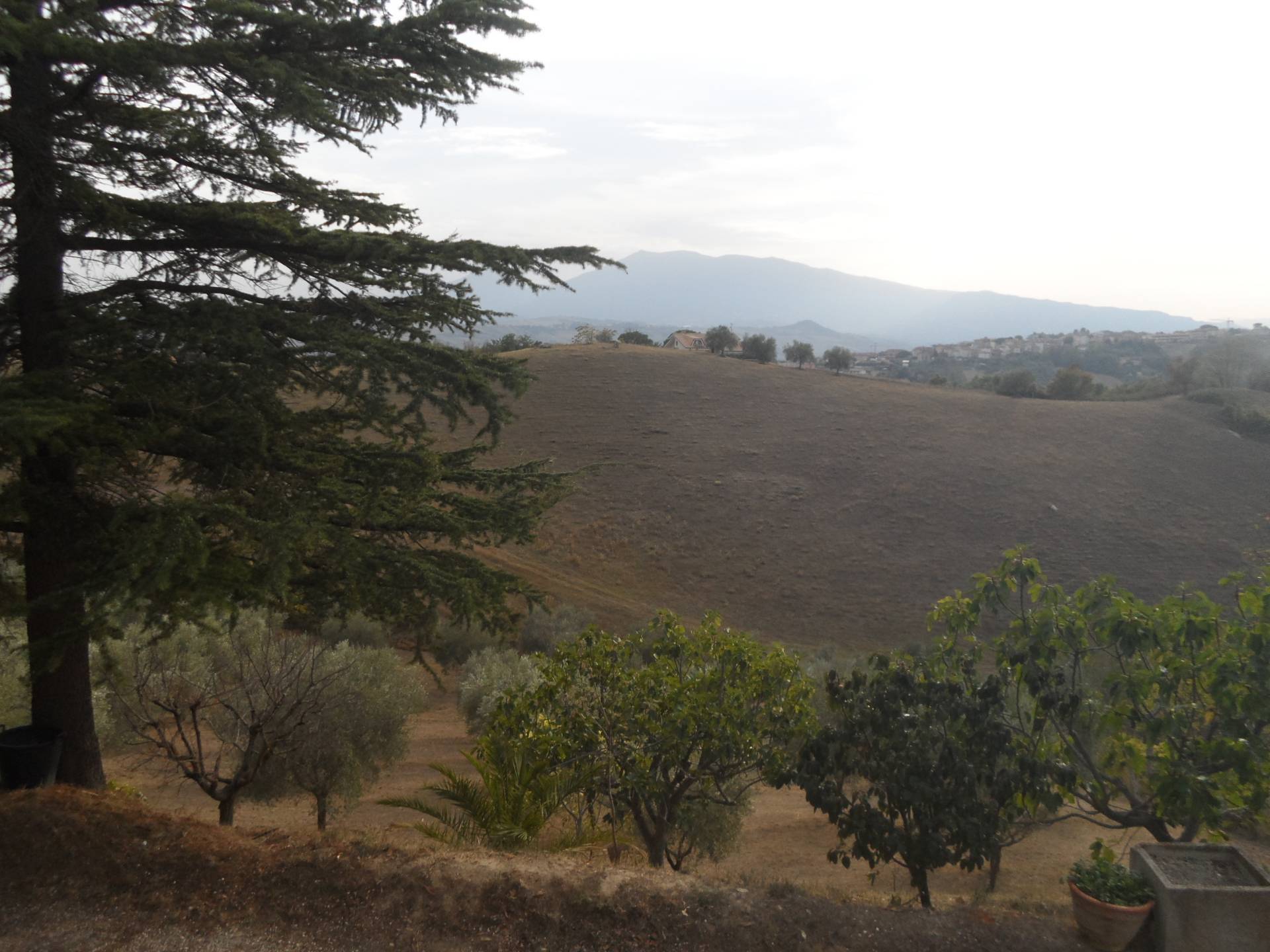 Terreno Agricolo in vendita a Castorano, San Silvestro