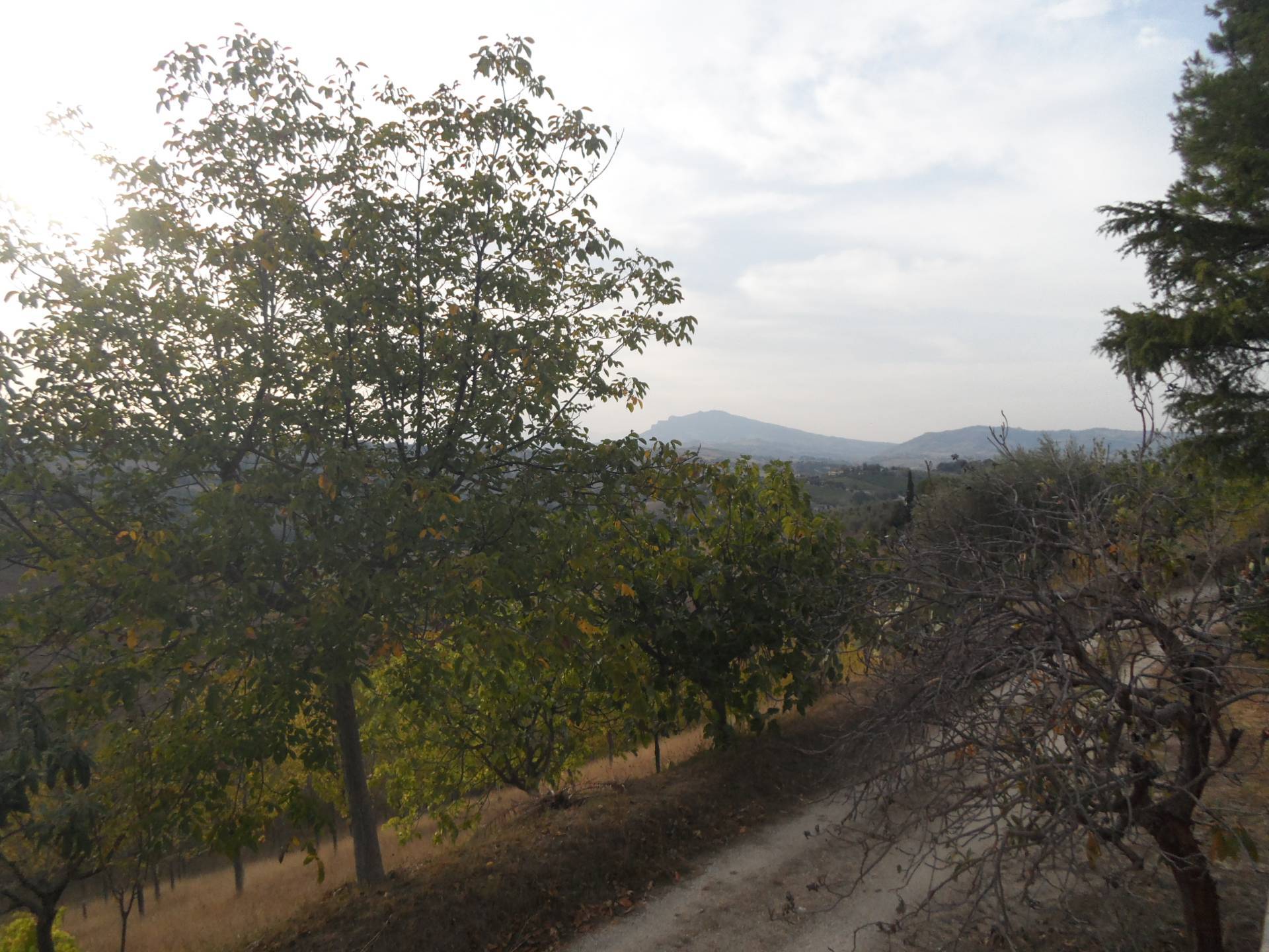 Terreno Agricolo in vendita a Castorano, San Silvestro