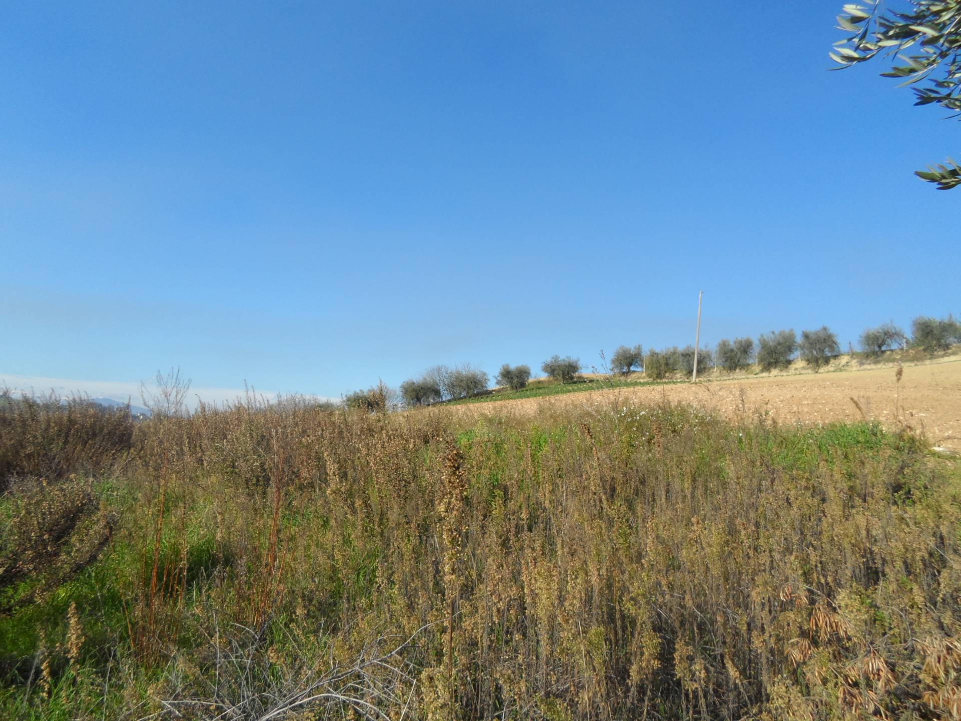 Terreno edificabile in vendita a Monteprandone, Centobuchi