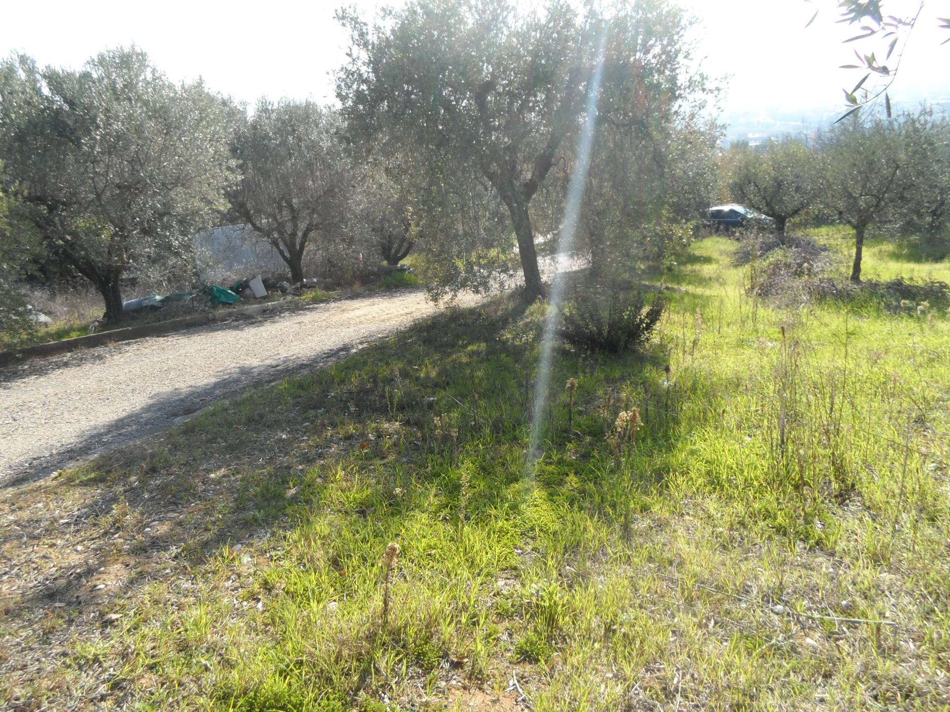 Terreno edificabile in vendita a Monteprandone, Centobuchi