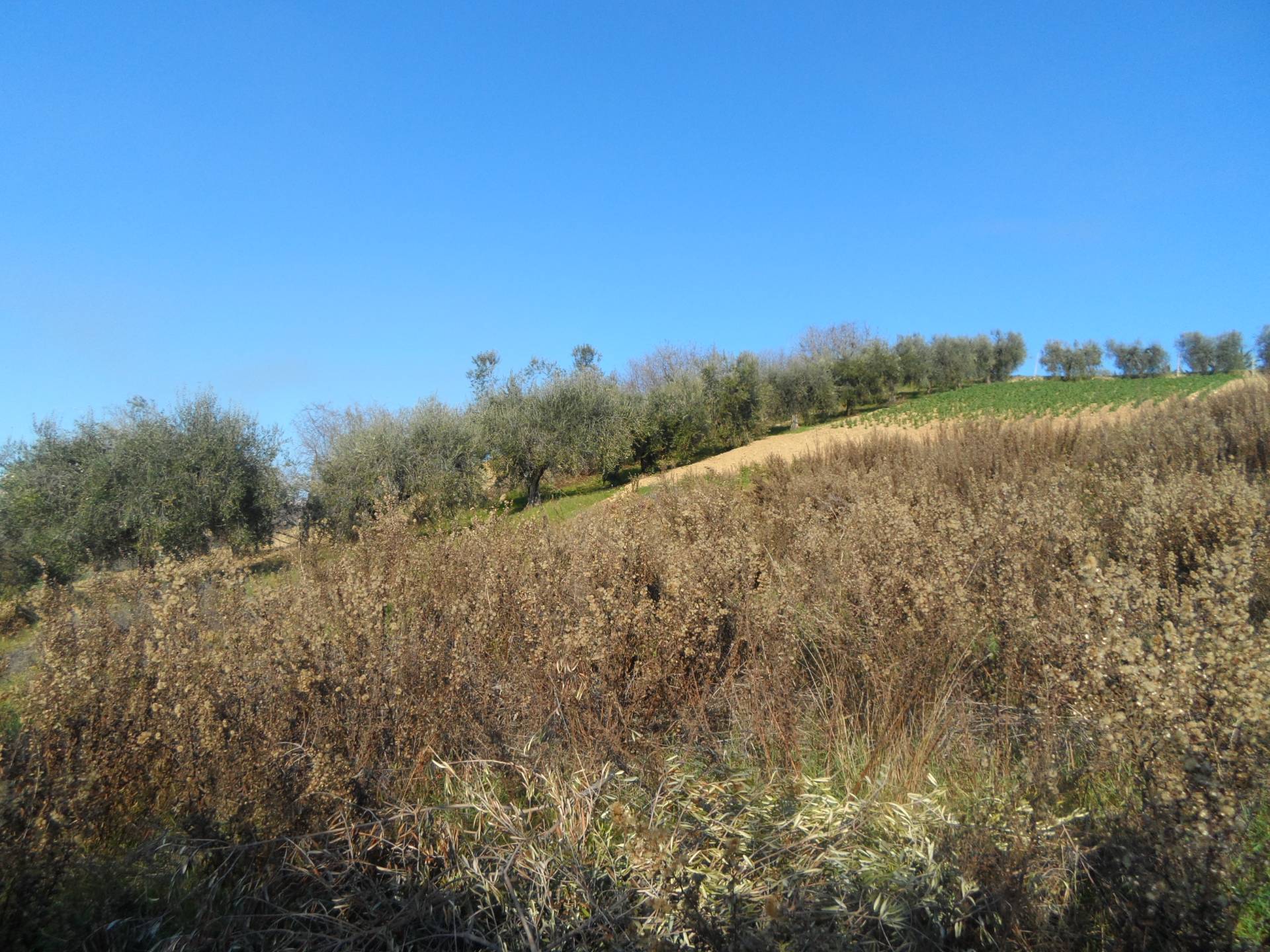 Terreno edificabile in vendita a Monteprandone, Centobuchi