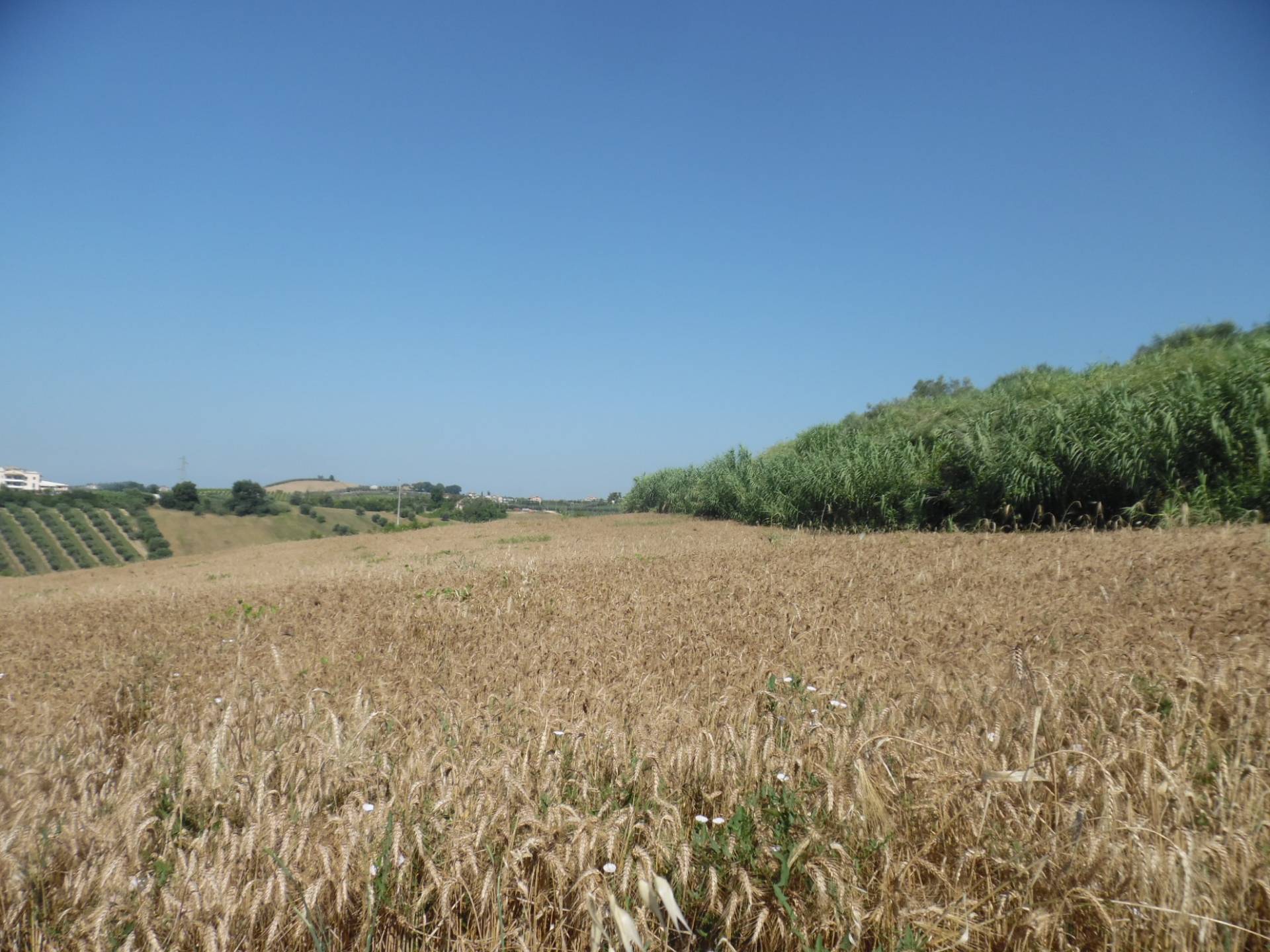 Terreno edificabile in vendita a Monteprandone, Centobuchi
