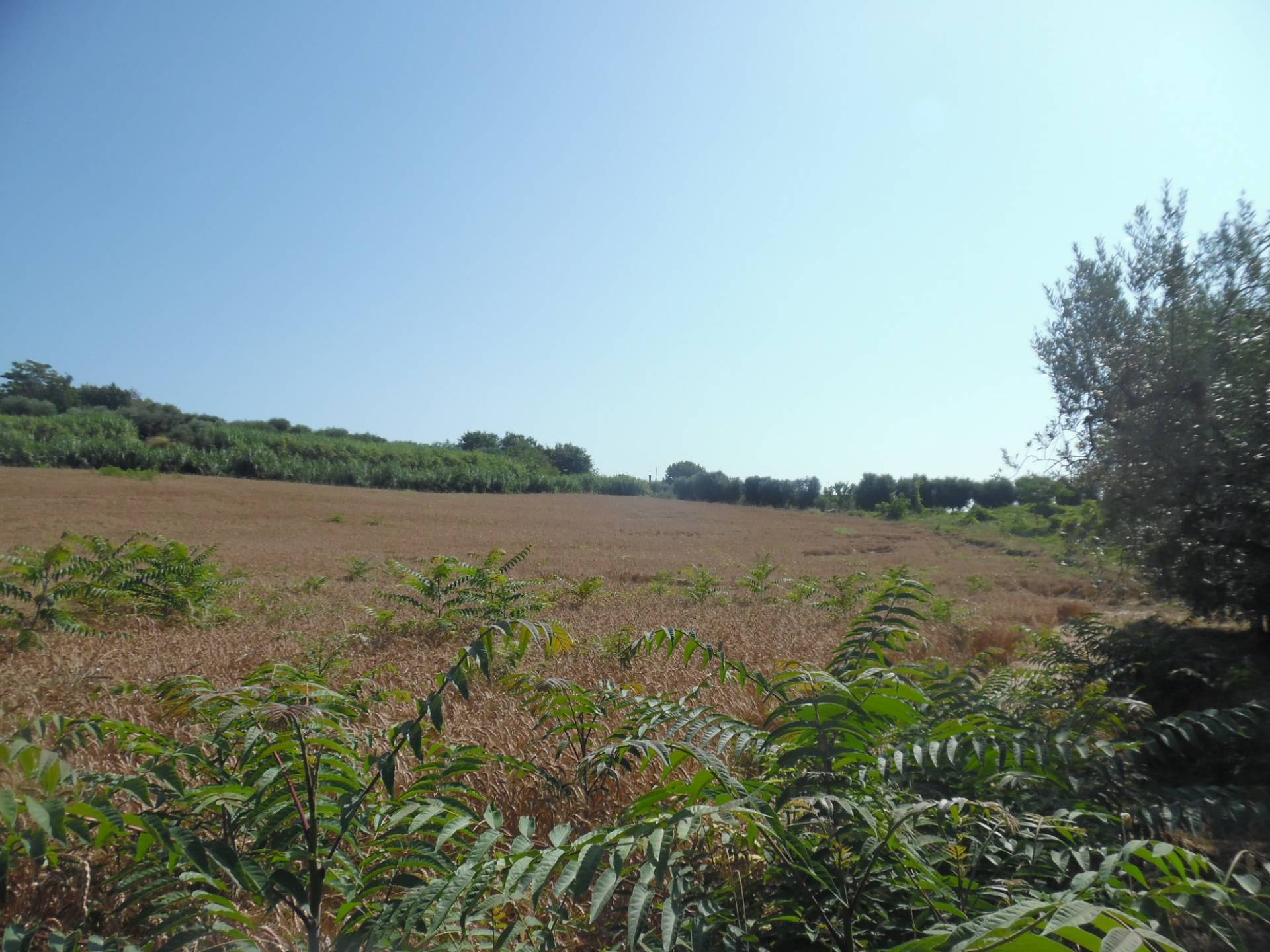 Terreno edificabile in vendita a Monteprandone, Centobuchi