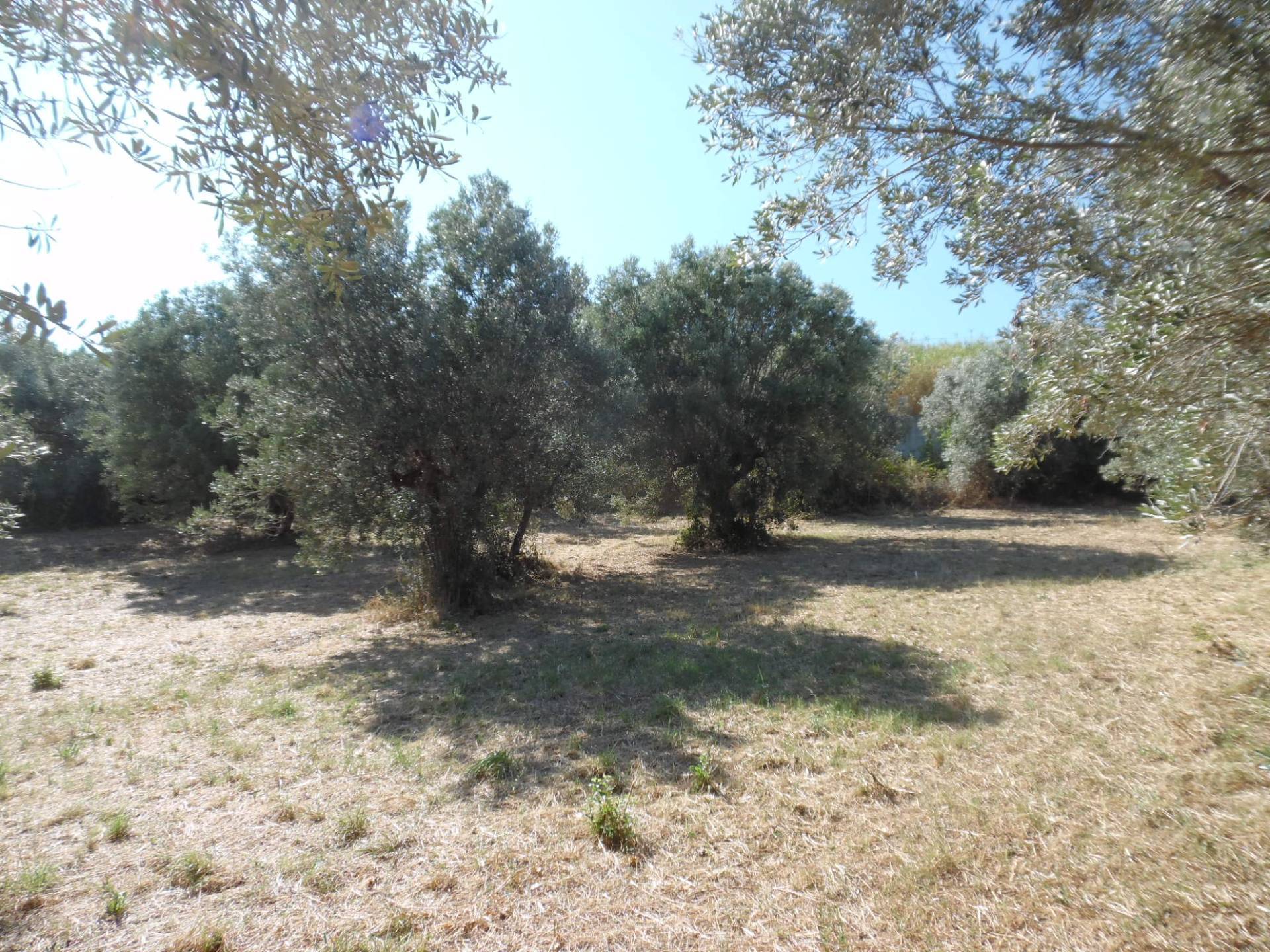 Terreno edificabile in vendita a Tortoreto, Tortoreto Alta