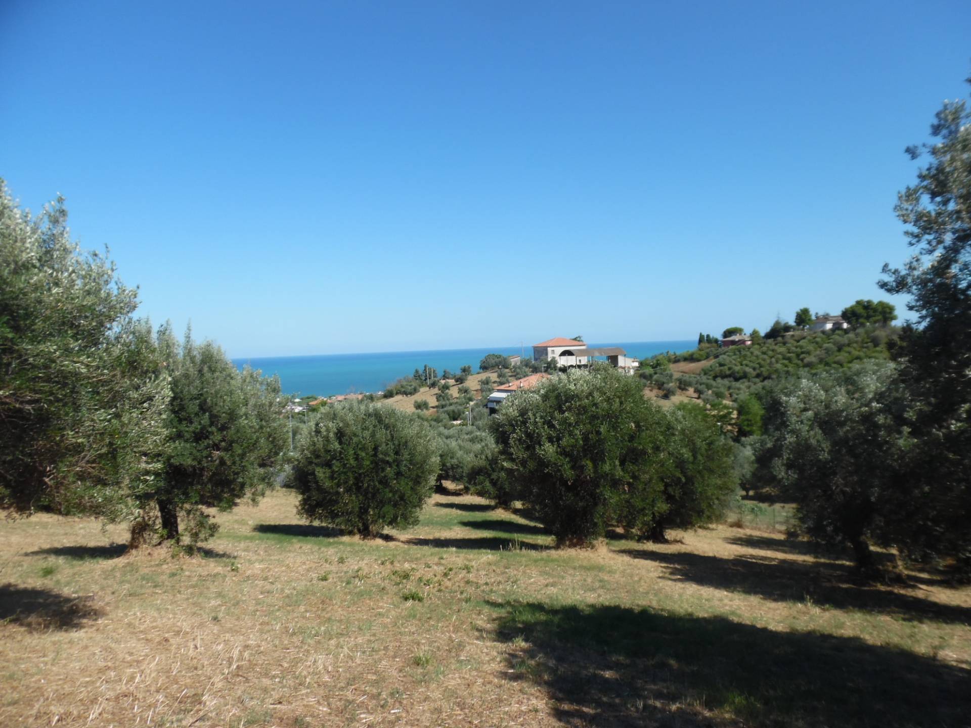 Terreno edificabile in vendita a Tortoreto, Tortoreto Alta