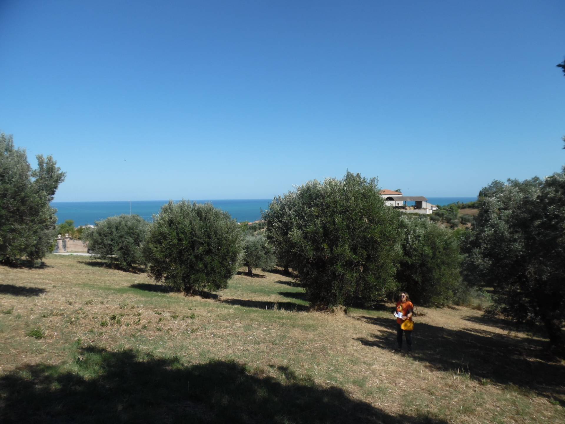 Terreno edificabile in vendita a Tortoreto, Tortoreto Alta