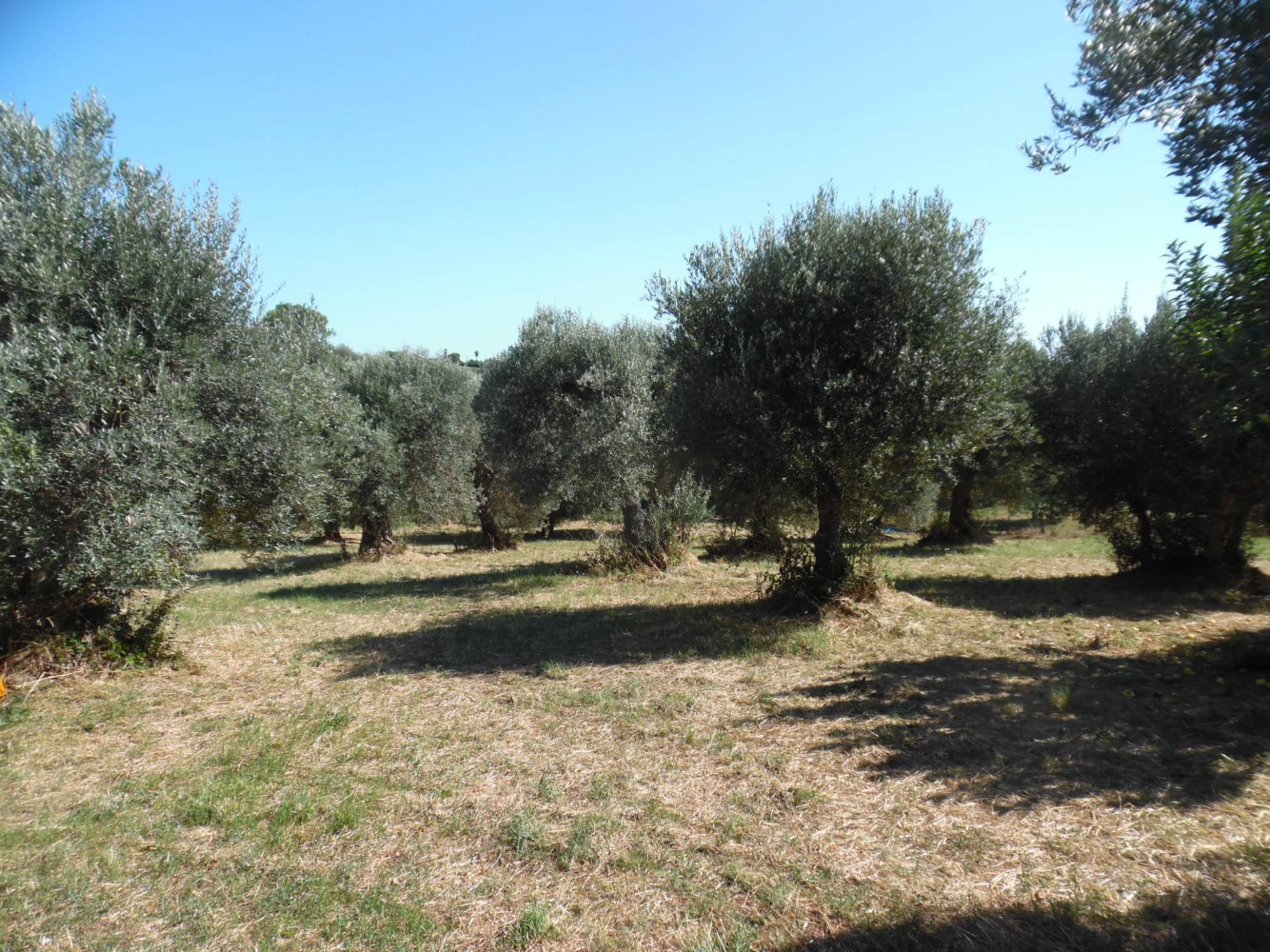 Terreno edificabile in vendita a Tortoreto, Tortoreto Alta