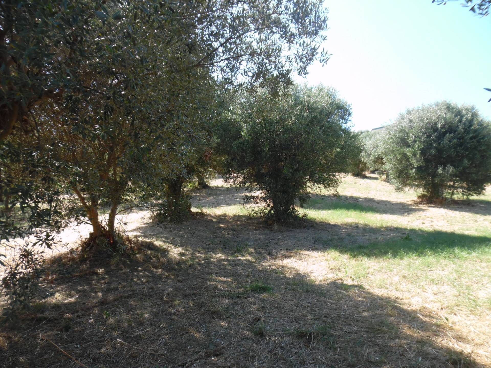 Terreno edificabile in vendita a Tortoreto, Tortoreto Alta