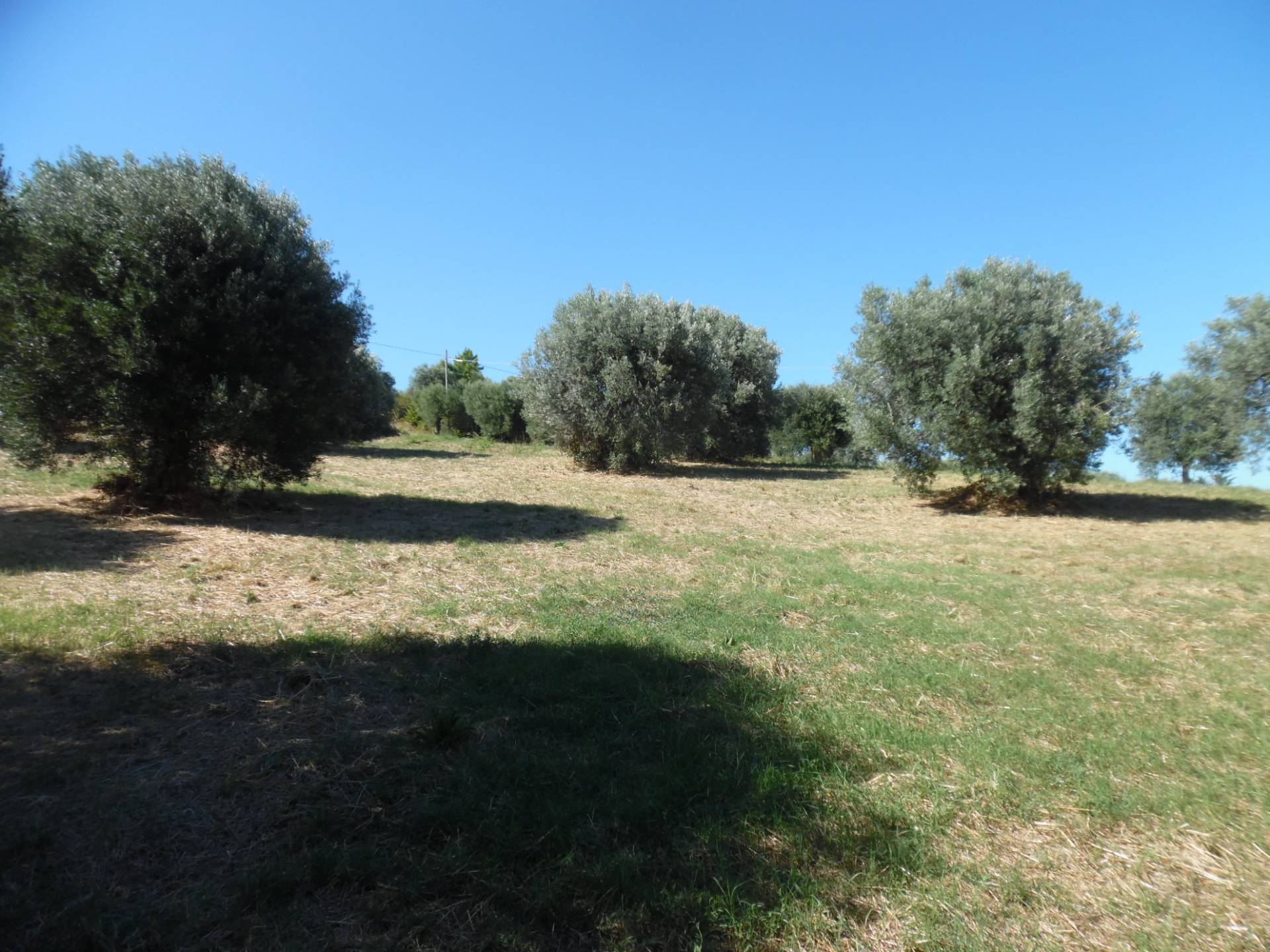 Terreno edificabile in vendita a Tortoreto, Tortoreto Alta