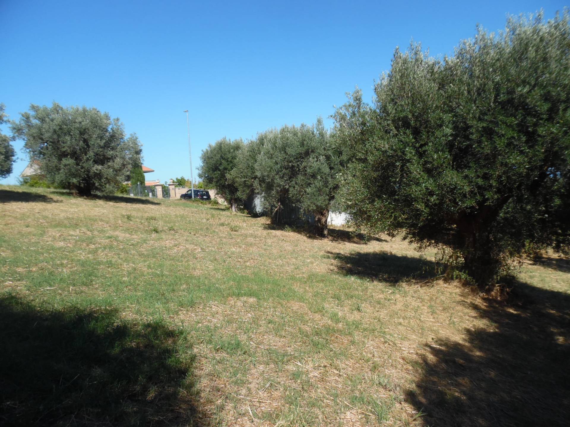 Terreno edificabile in vendita a Tortoreto, Tortoreto Alta