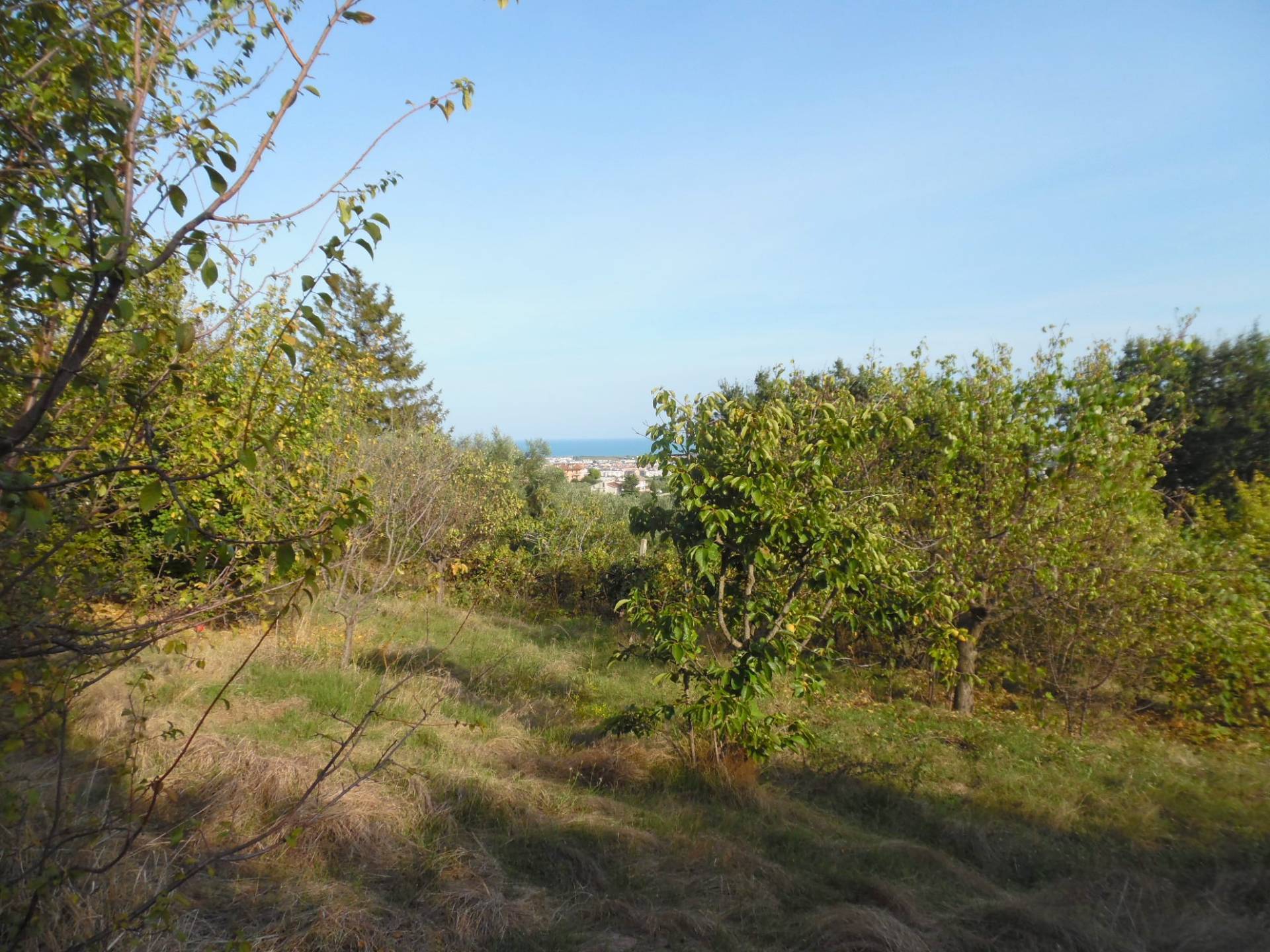 Terreno edificabile in vendita a Monteprandone, Centobuchi
