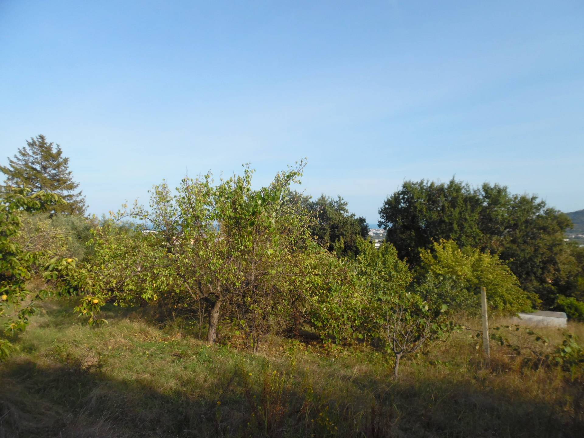 Terreno edificabile in vendita a Monteprandone, Centobuchi