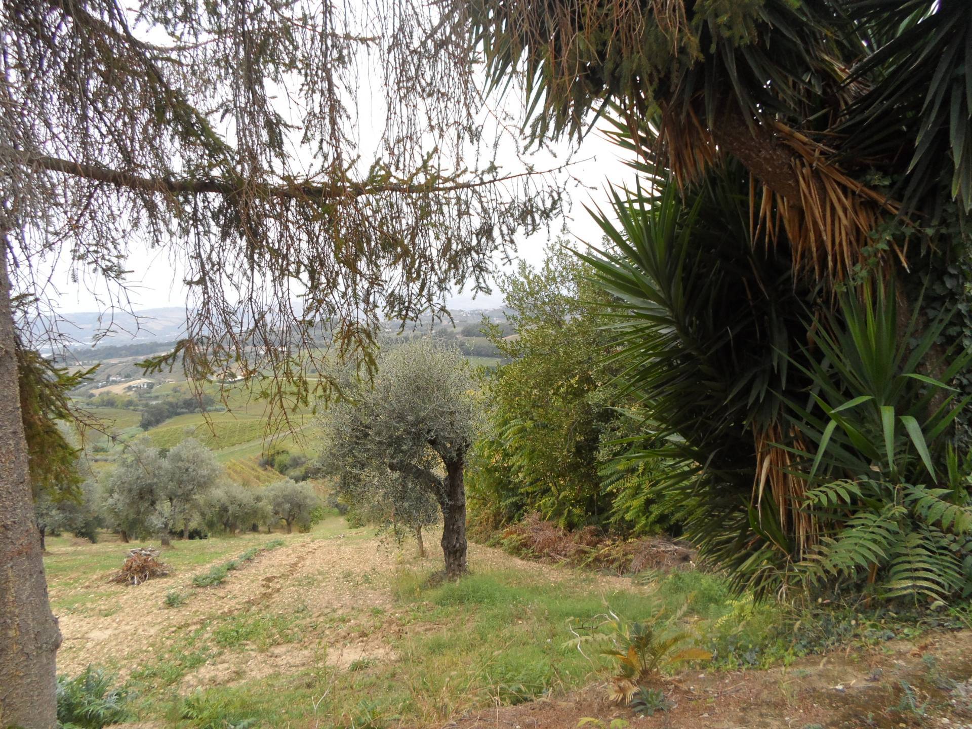 Terreno Agricolo in vendita a Monteprandone