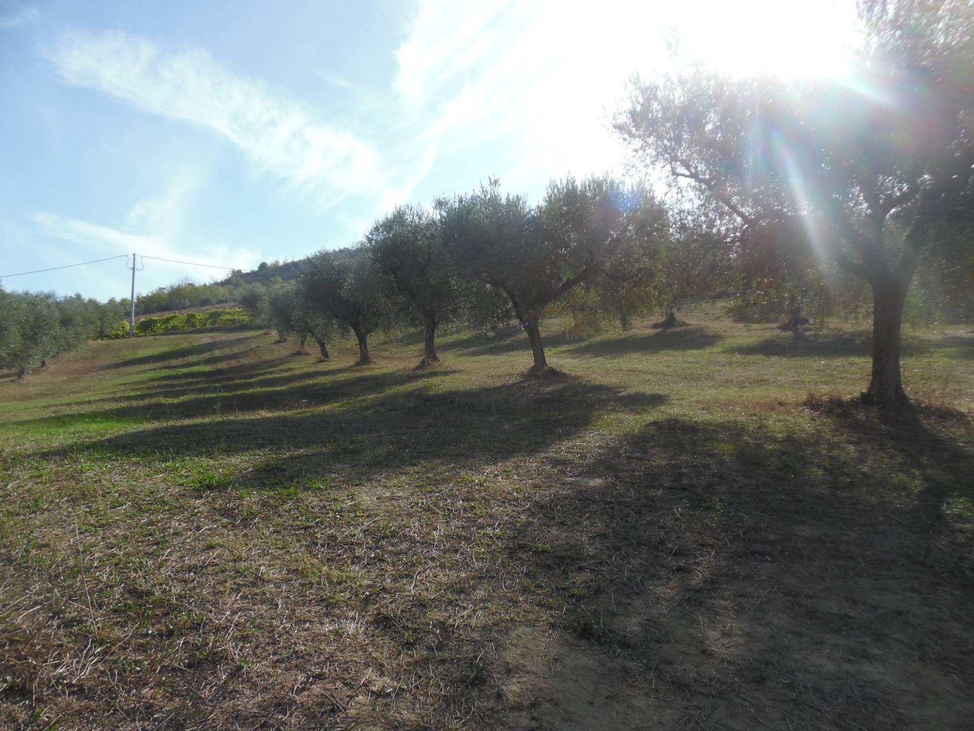 Terreno Agricolo in vendita a Controguerra, Panoramica