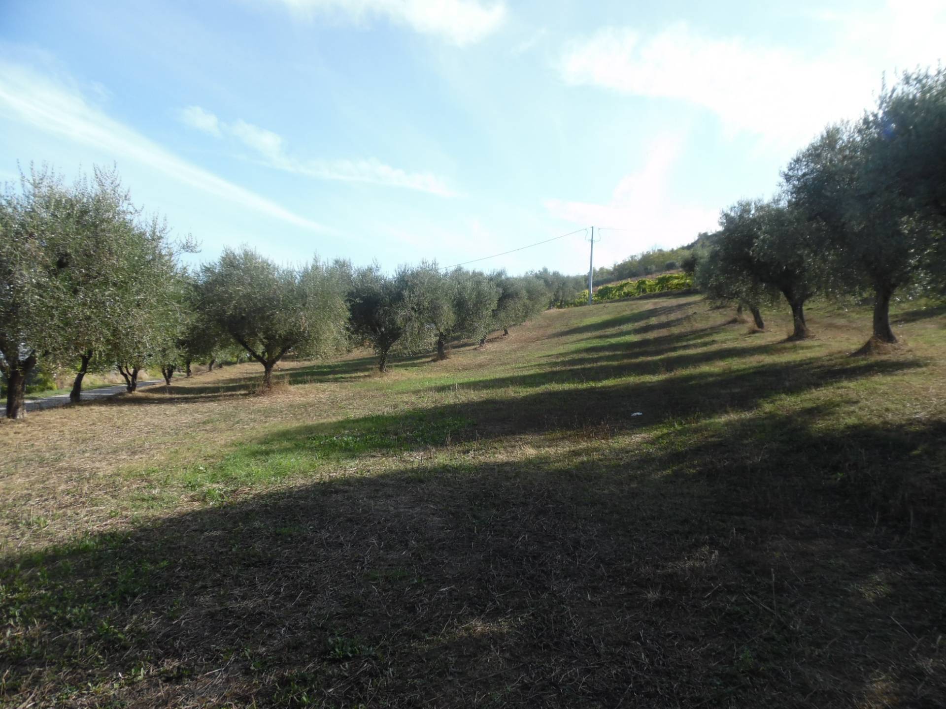 Terreno Agricolo in vendita a Controguerra, Panoramica