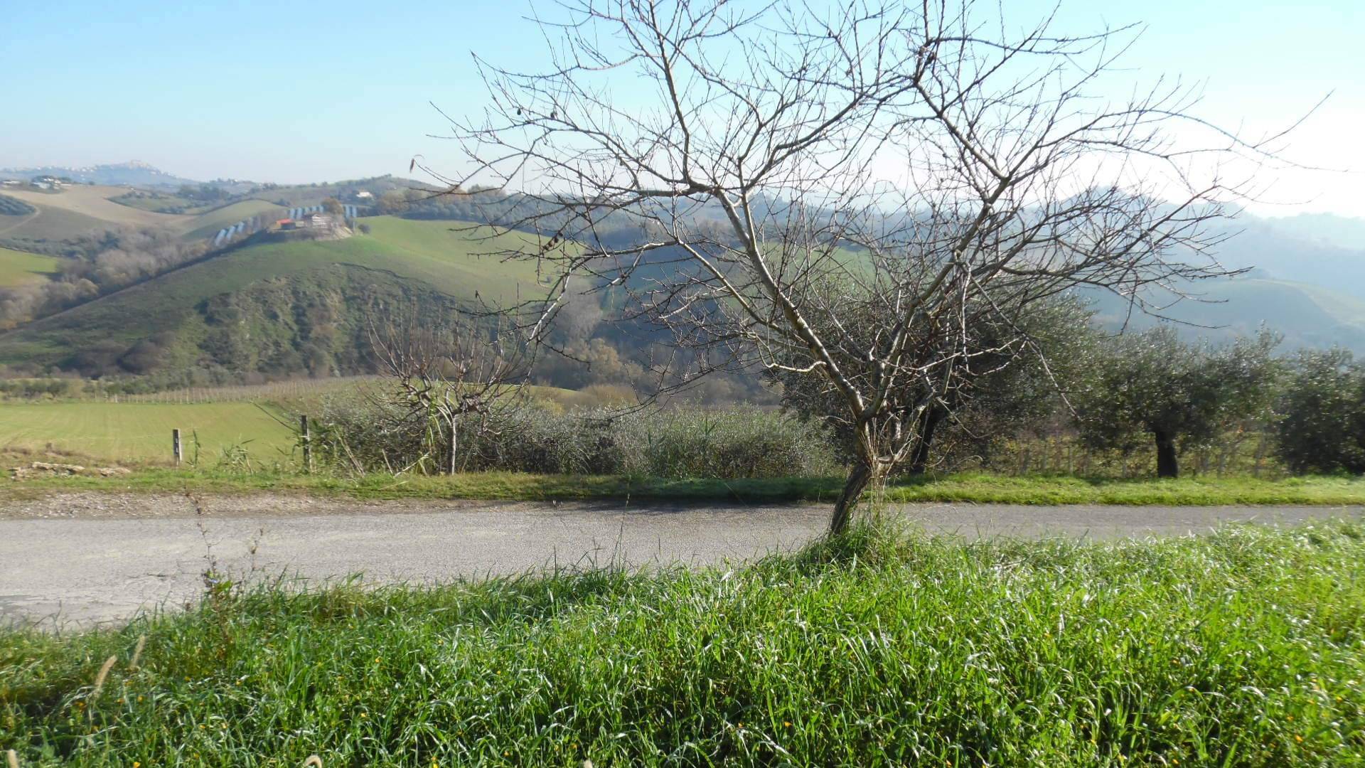 Terreno Agricolo in vendita a Monteprandone