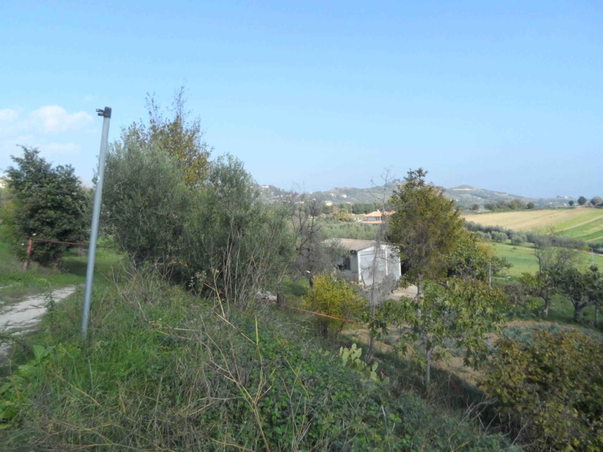 Terreno Agricolo in vendita a Monteprandone, Centobuchi