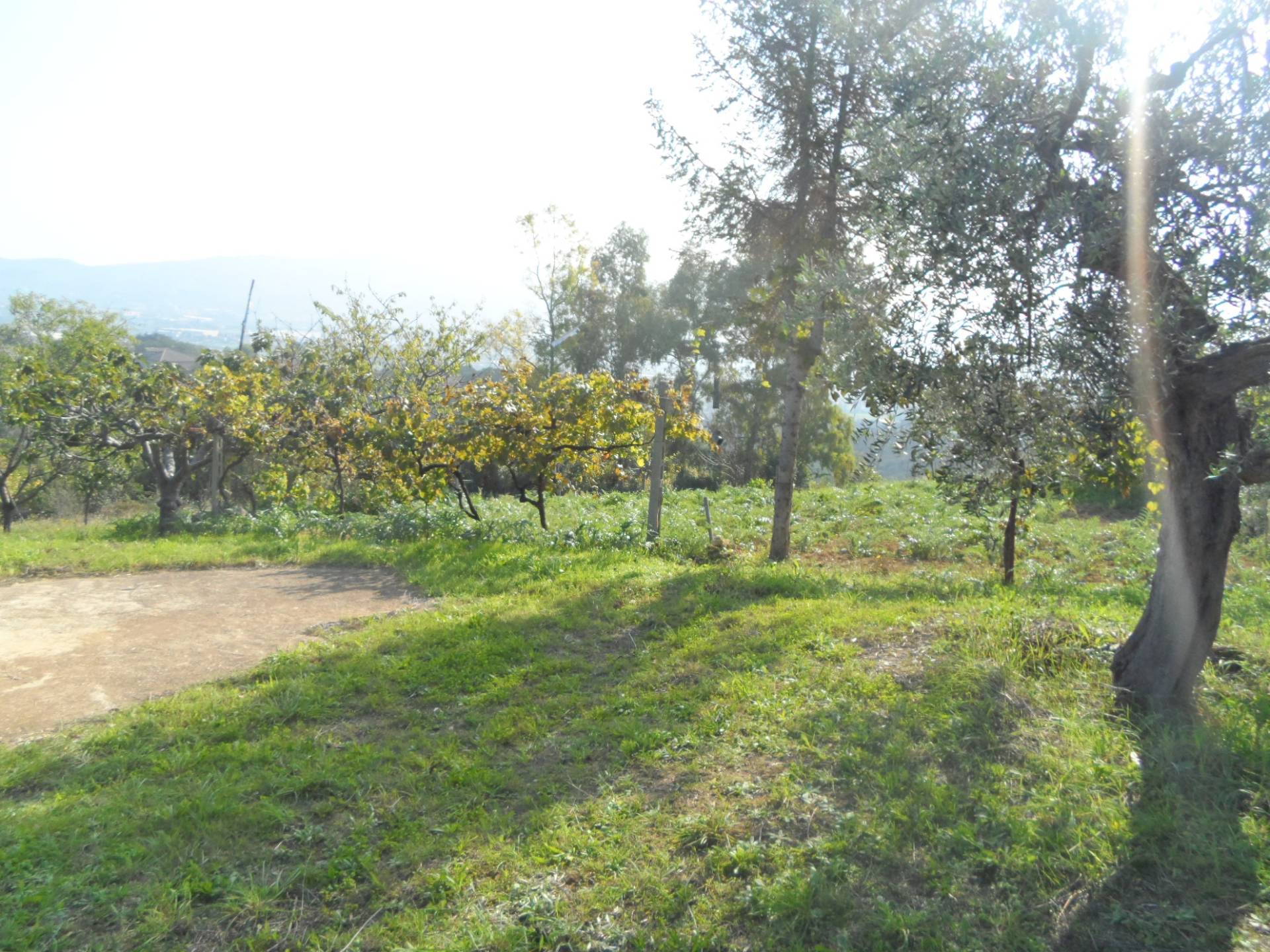 Terreno Agricolo in vendita a Monteprandone, Centobuchi