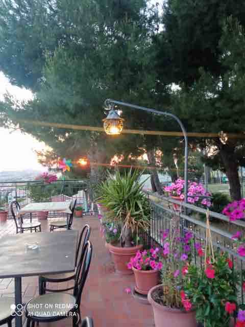 Ristorante - Pizzeria in affitto a Acquaviva Picena, Quercia