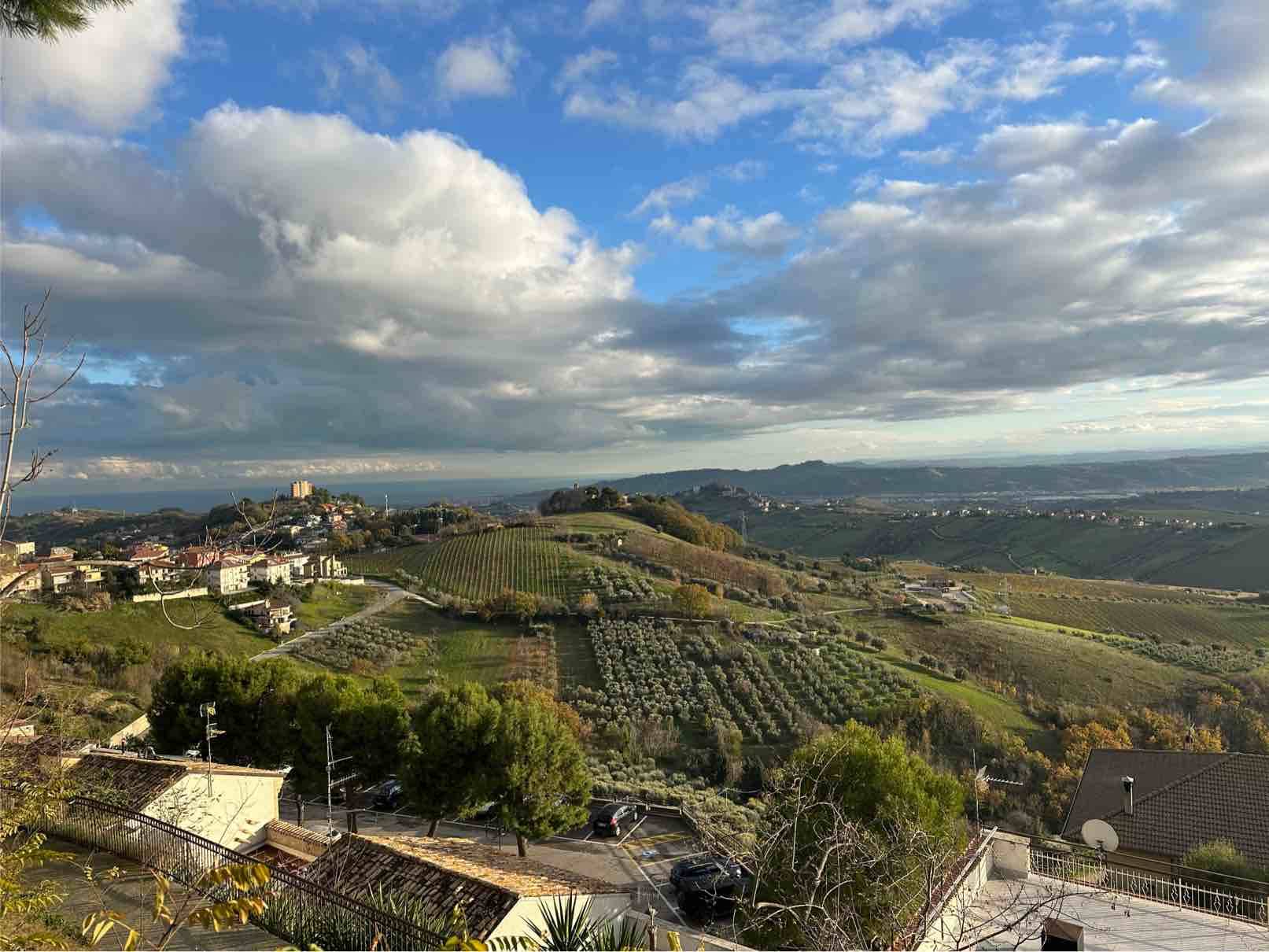 Ristorante - Pizzeria in affitto a Acquaviva Picena, Quercia