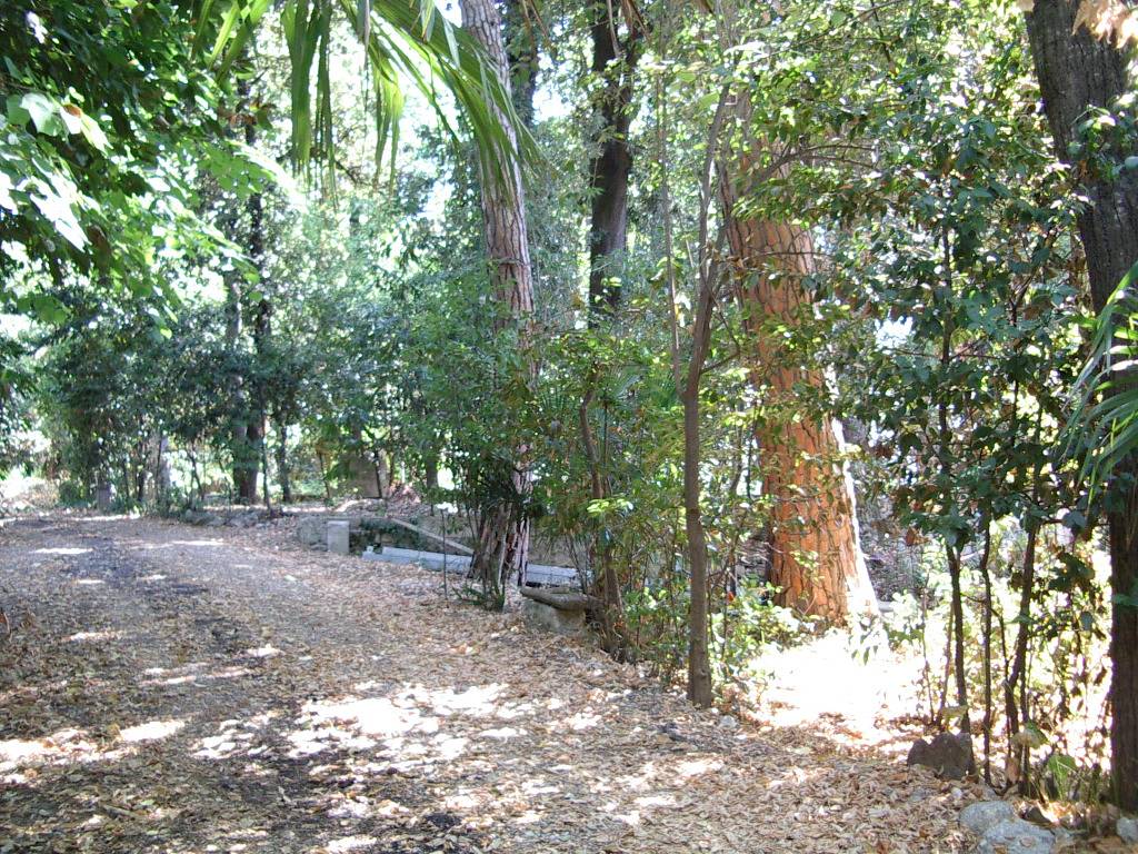 Villa in vendita a Colli del Tronto