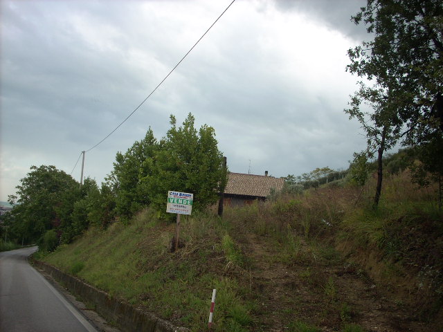 Terreno Agricolo in vendita a Colonnella