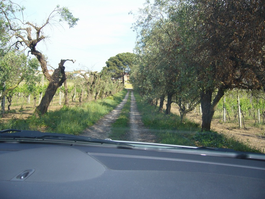 immagine annuncio 2 di 7