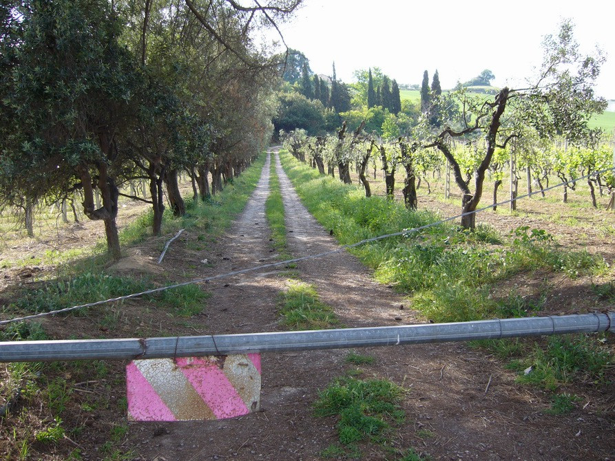 immagine annuncio 3 di 7