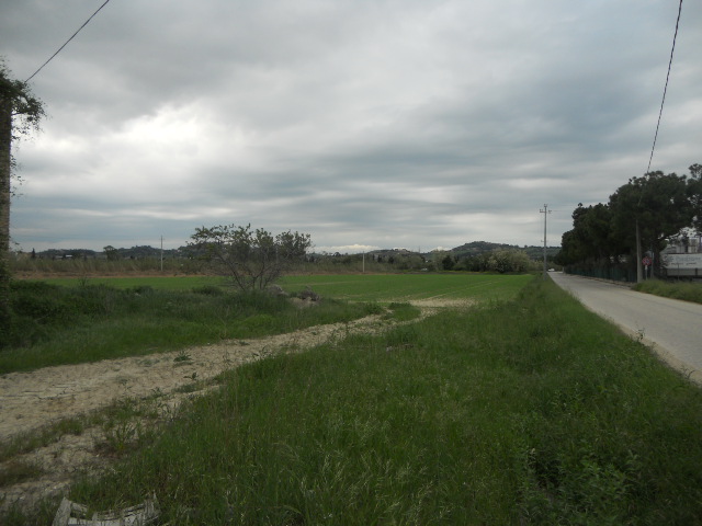 Casolare in vendita a Controguerra