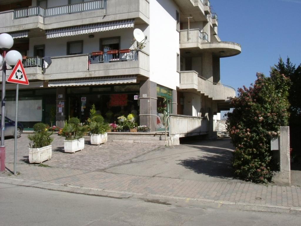 Locale commerciale in vendita a Spinetoli