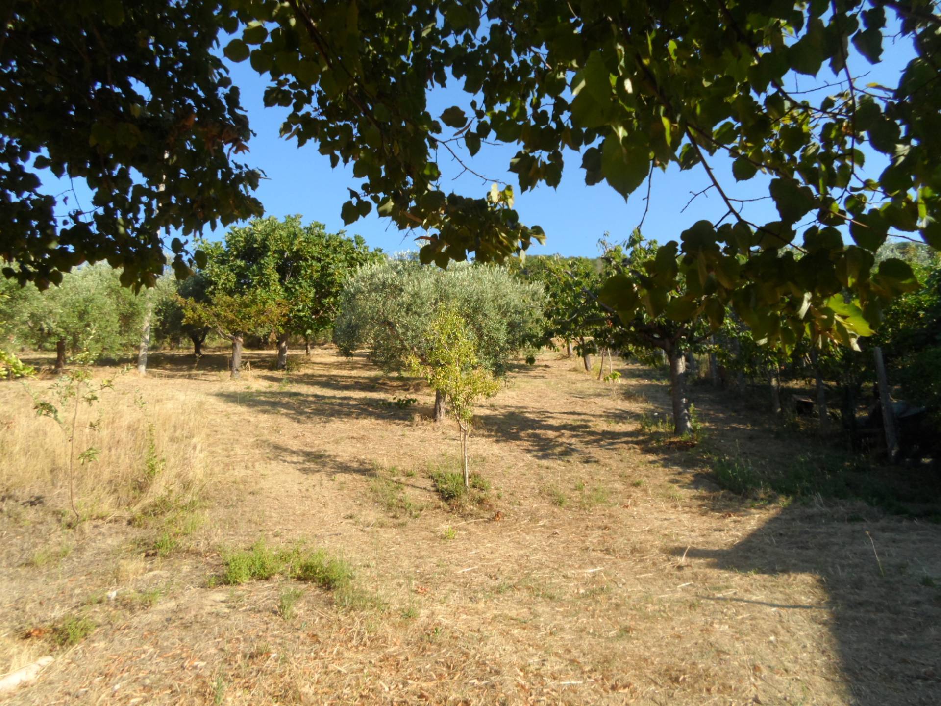 immagine annuncio 1 di 6