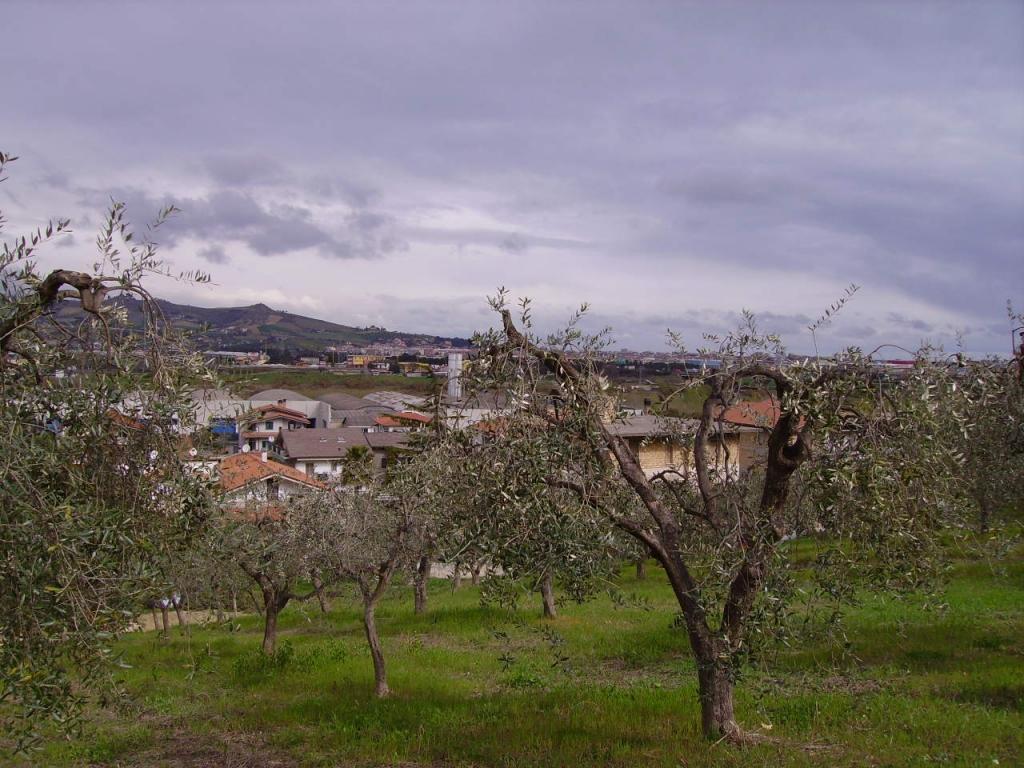 immagine annuncio 3 di 6