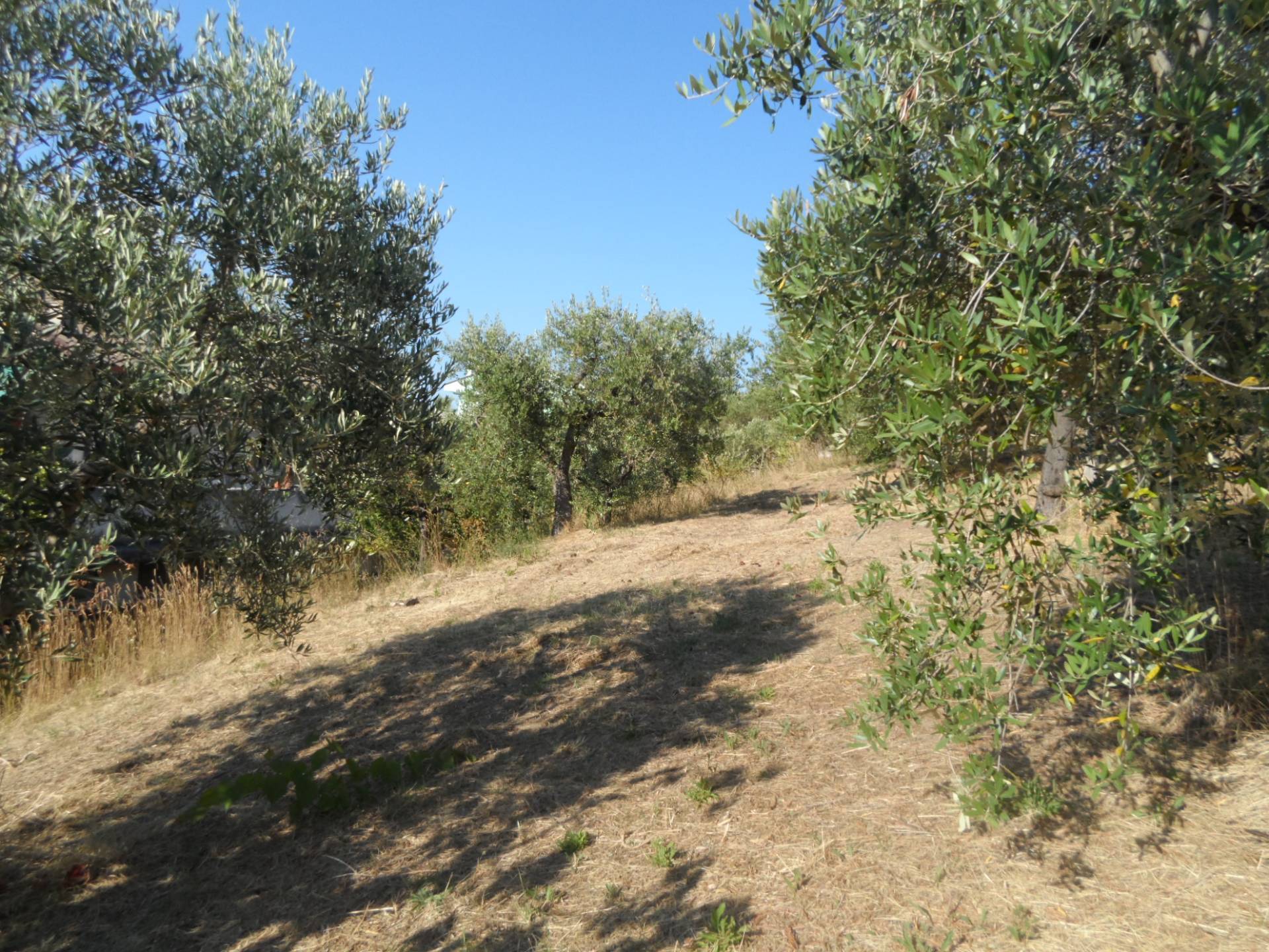 immagine annuncio 4 di 6