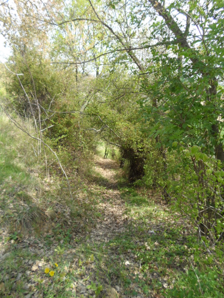 Terreno Agricolo in vendita a Acquaviva Picena, Forola