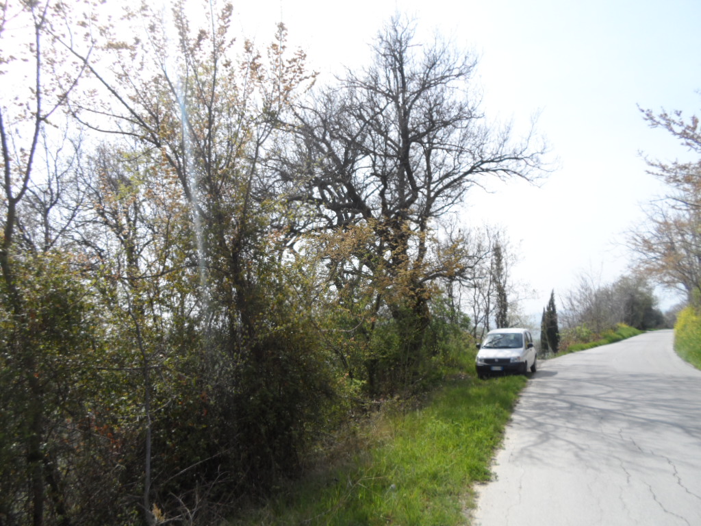 Terreno Agricolo in vendita a Acquaviva Picena, Forola