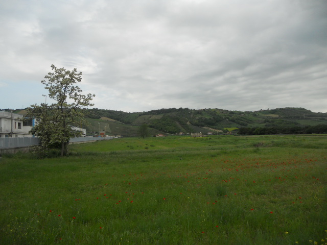 immagine annuncio 3 di 7