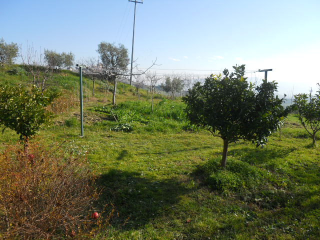 immagine annuncio 1 di 9