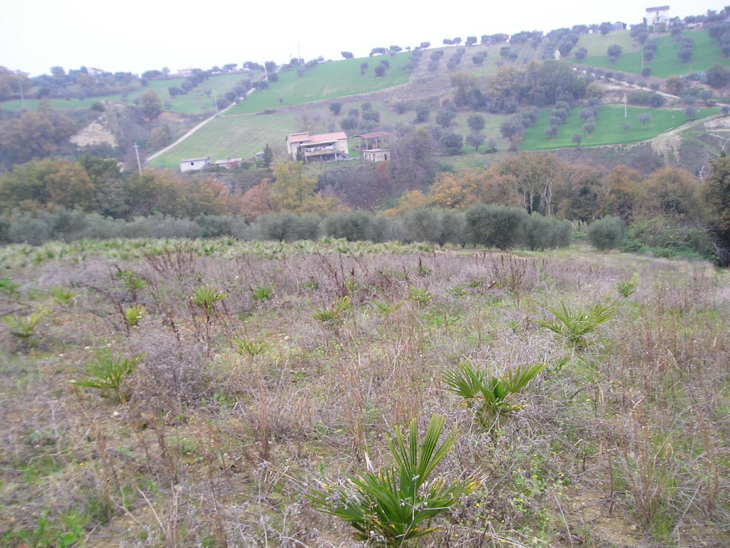 Casa singola in vendita a Grottammare
