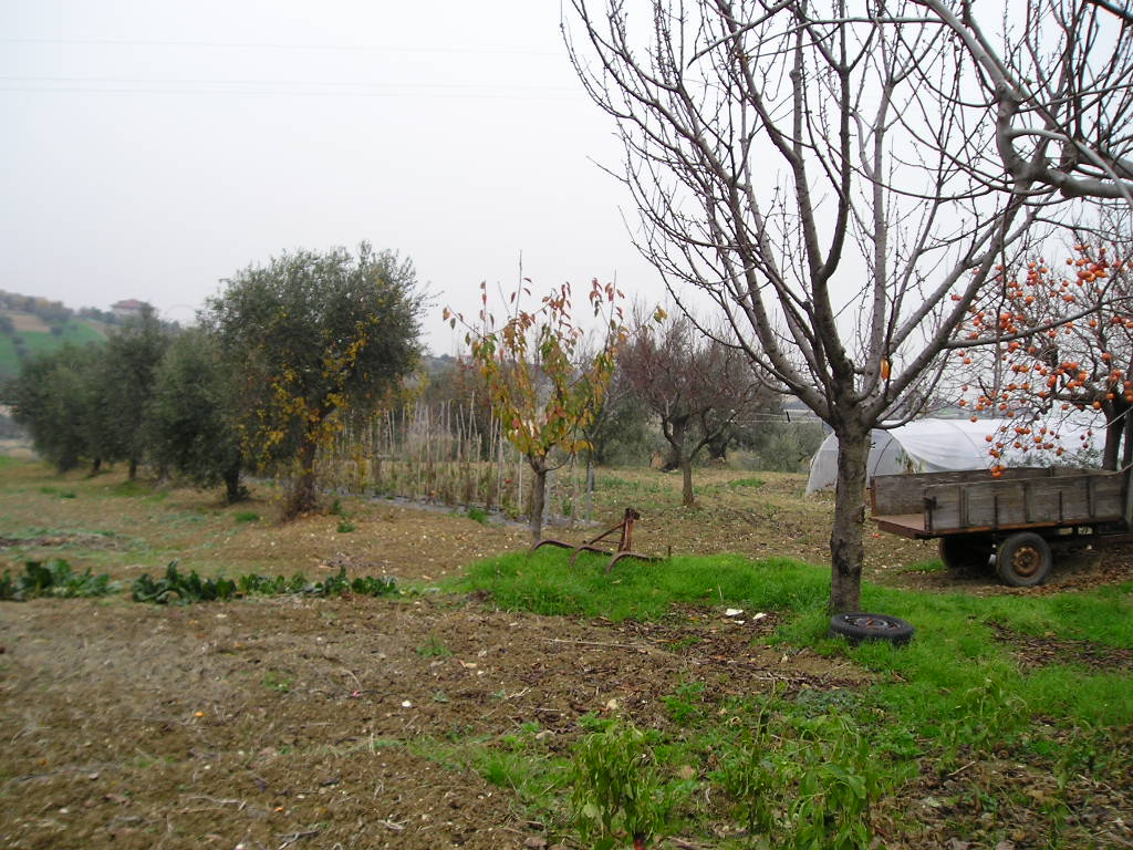 Casa singola in vendita a Grottammare