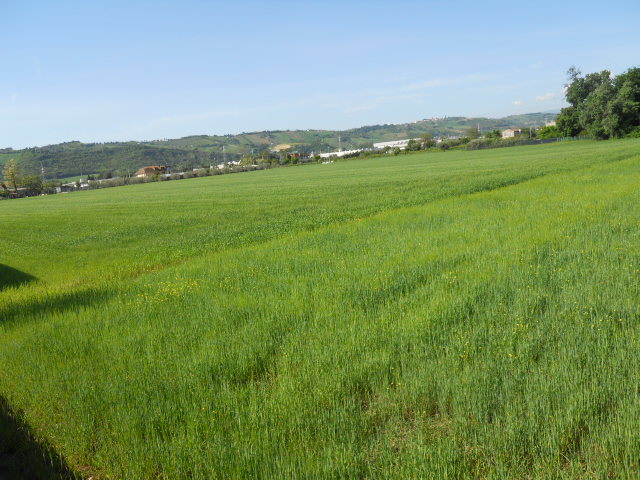 Terreno edificabile in vendita a Monteprandone, Centobuchi