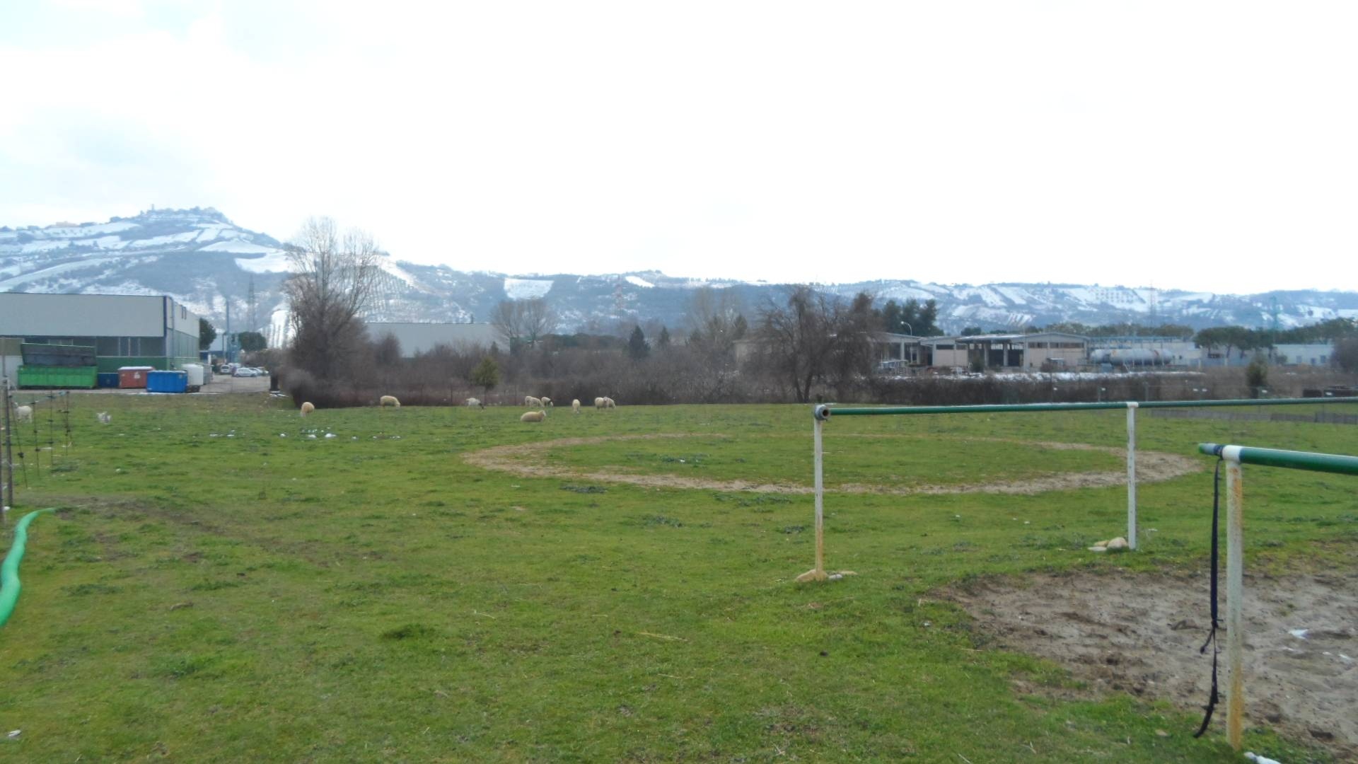 immagine annuncio 3 di 10