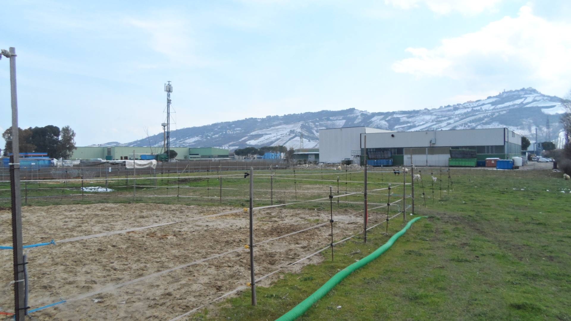 immagine annuncio 6 di 10