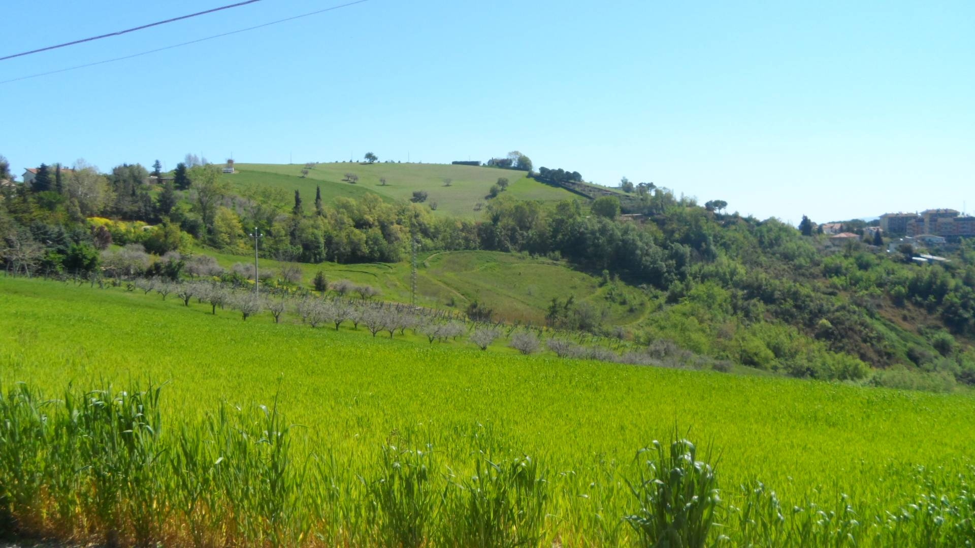 Terreno edificabile in vendita a Offida, San Barnaba