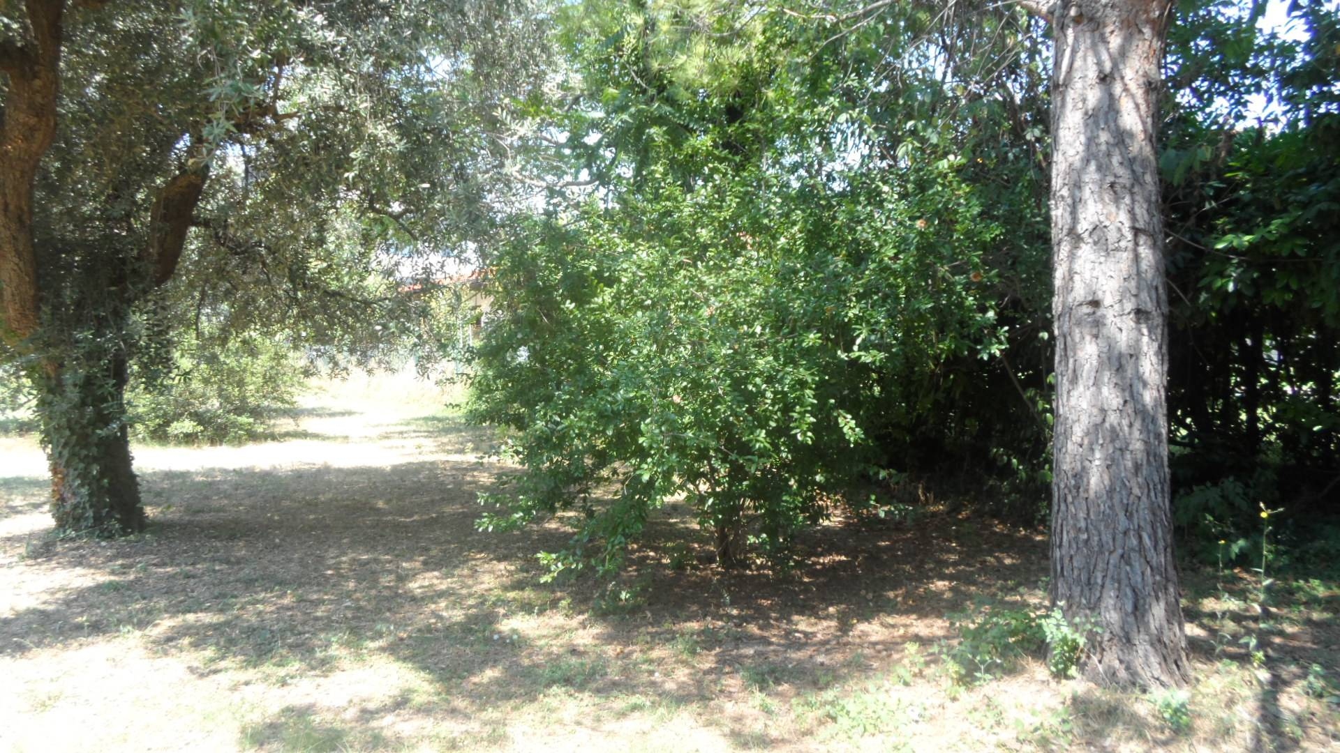 Terreno edificabile in vendita a Sant'Egidio alla Vibrata, Paolantonio