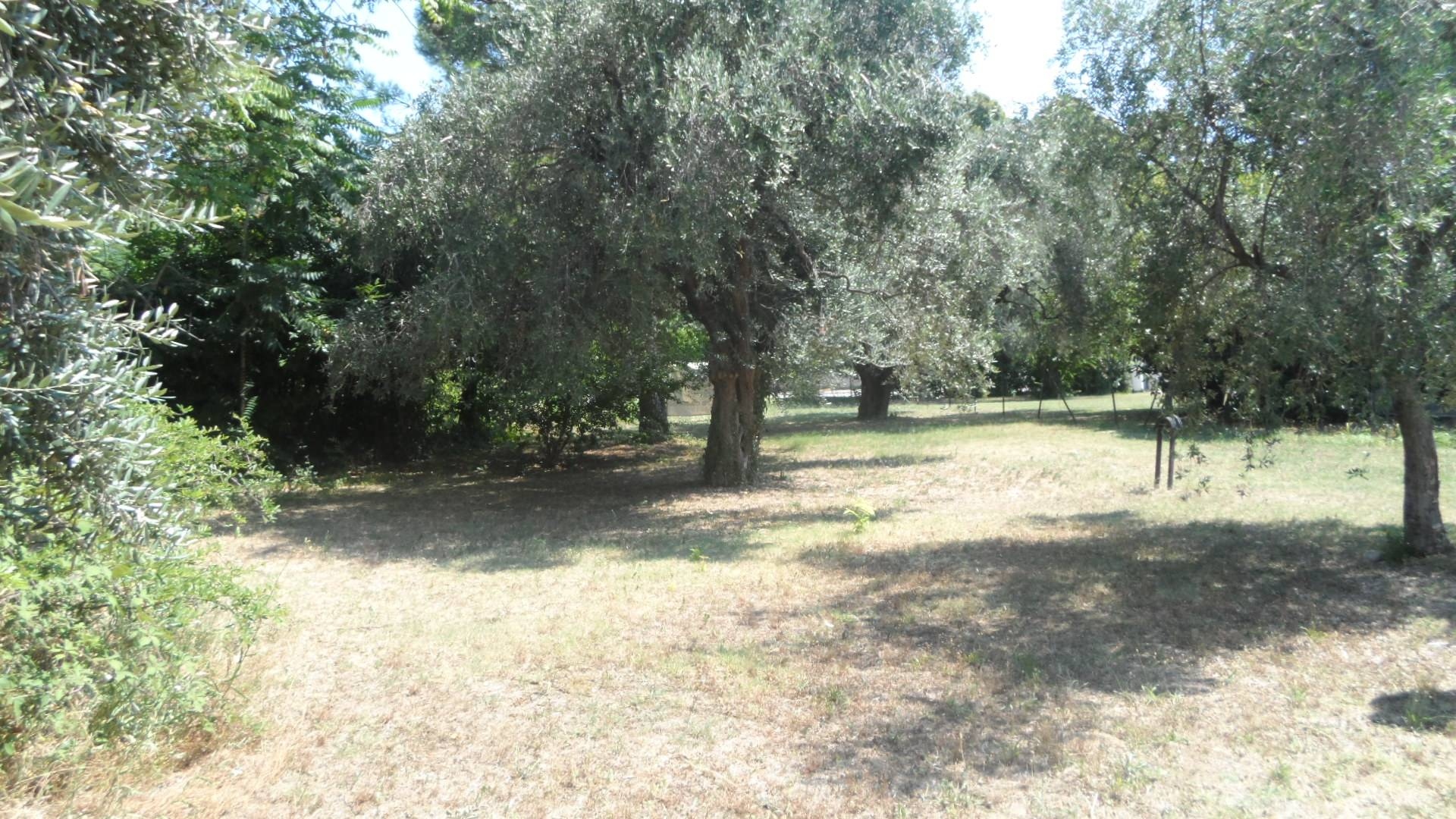 Terreno edificabile in vendita a Sant'Egidio alla Vibrata, Paolantonio