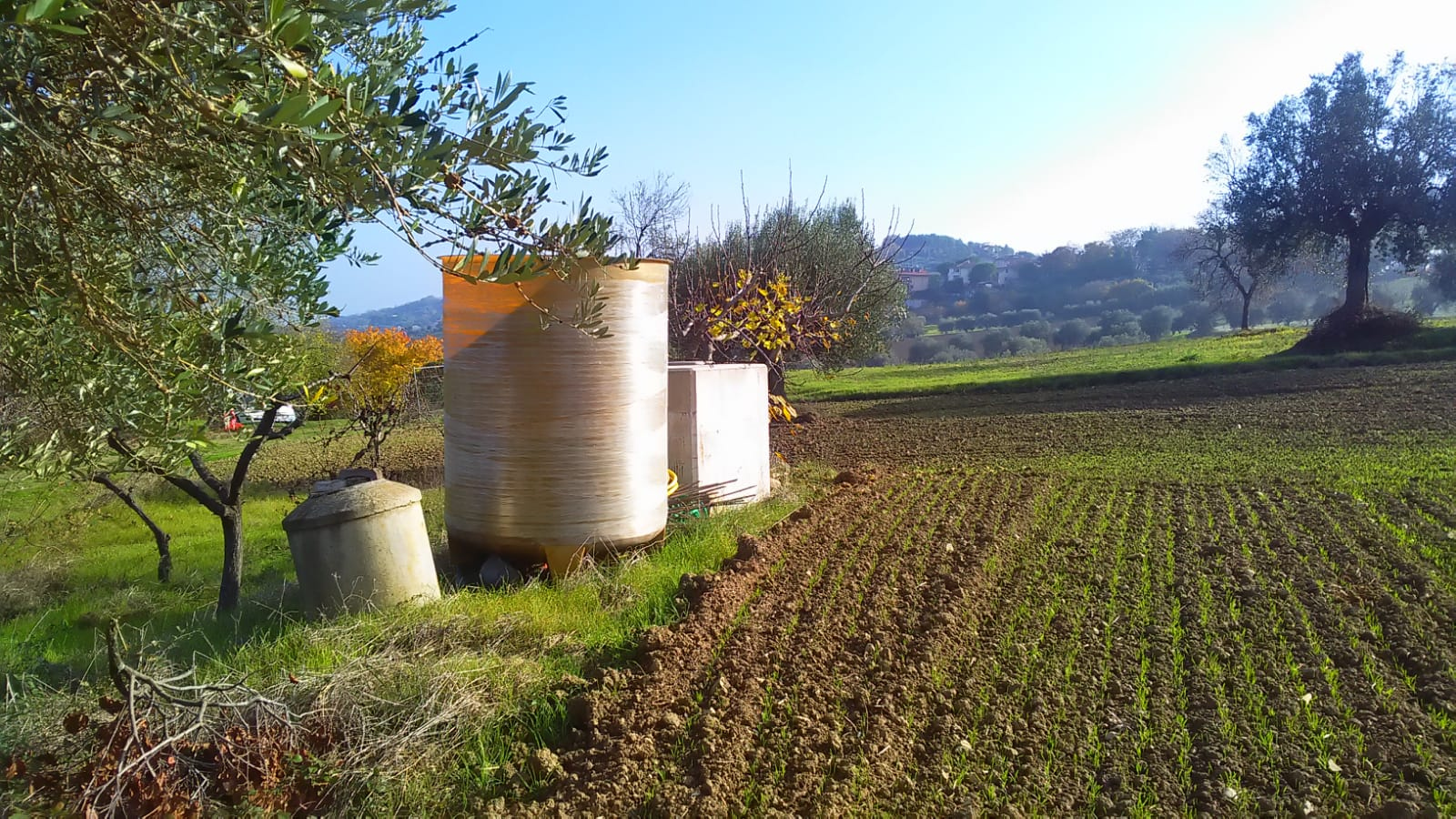 immagine annuncio 4 di 10