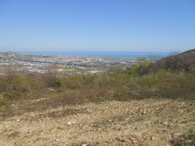 immagine annuncio 1 di 3