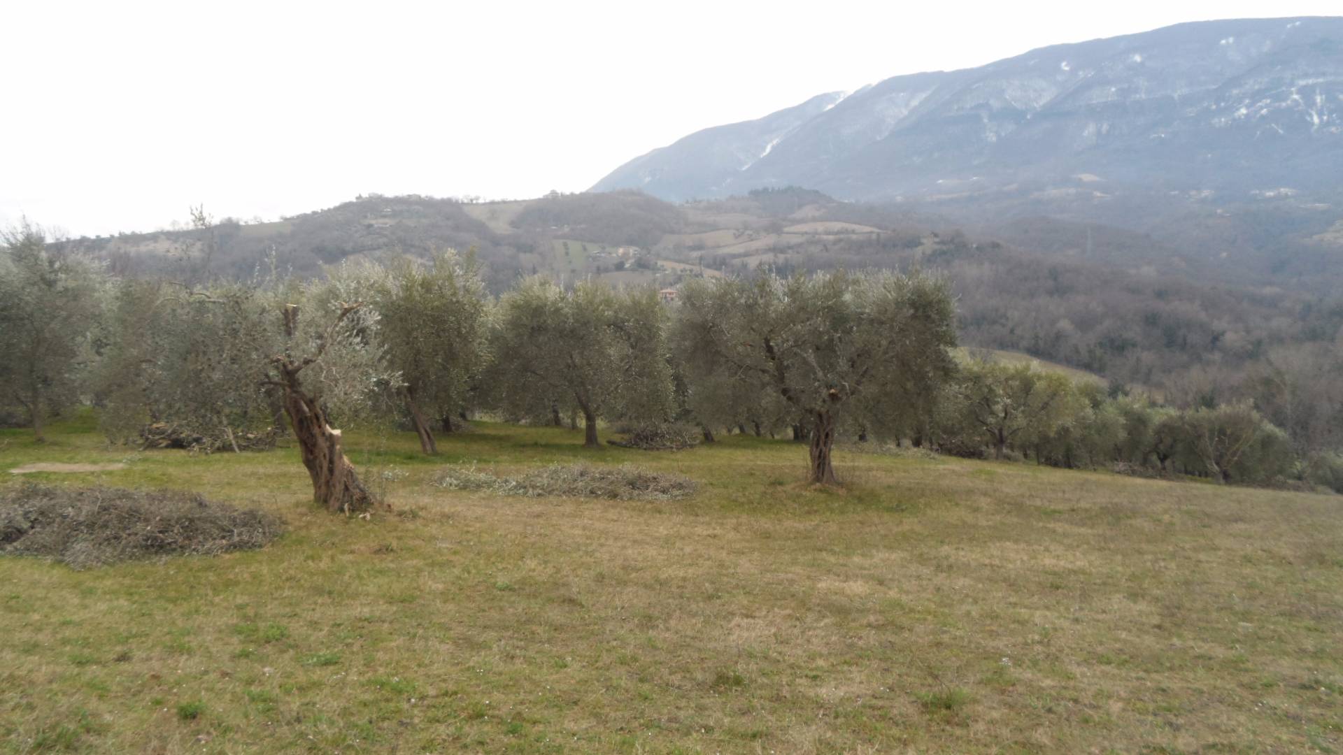 Casa indipendente in vendita a Folignano