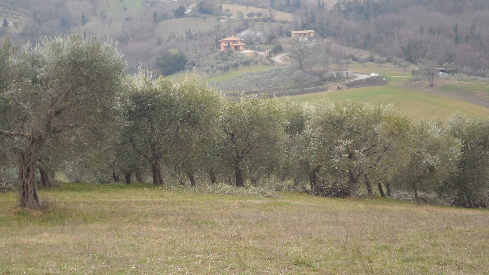 Casa indipendente in vendita a Folignano